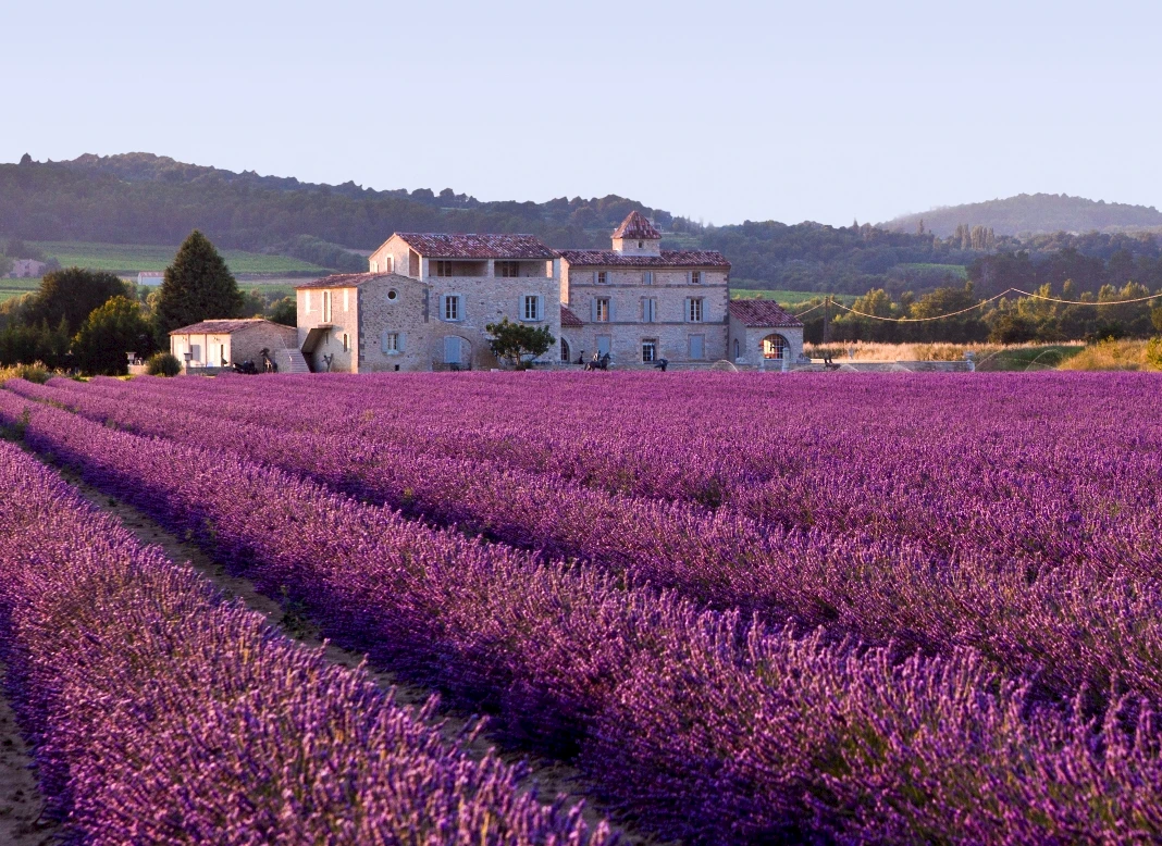 AMADEUS PROVENCE ile Kurban Bayramı'nda Rhone Nehri (Paket Program)