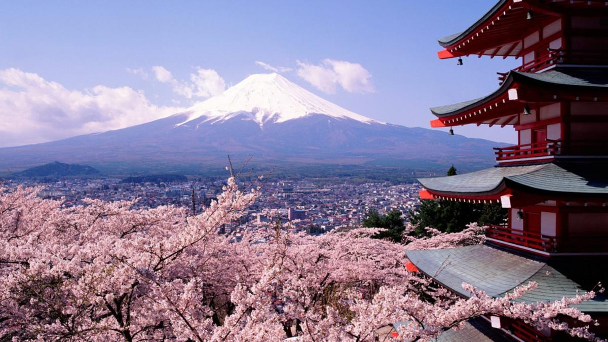 SAKURA DÖNEMİ'NDE JAPONYA