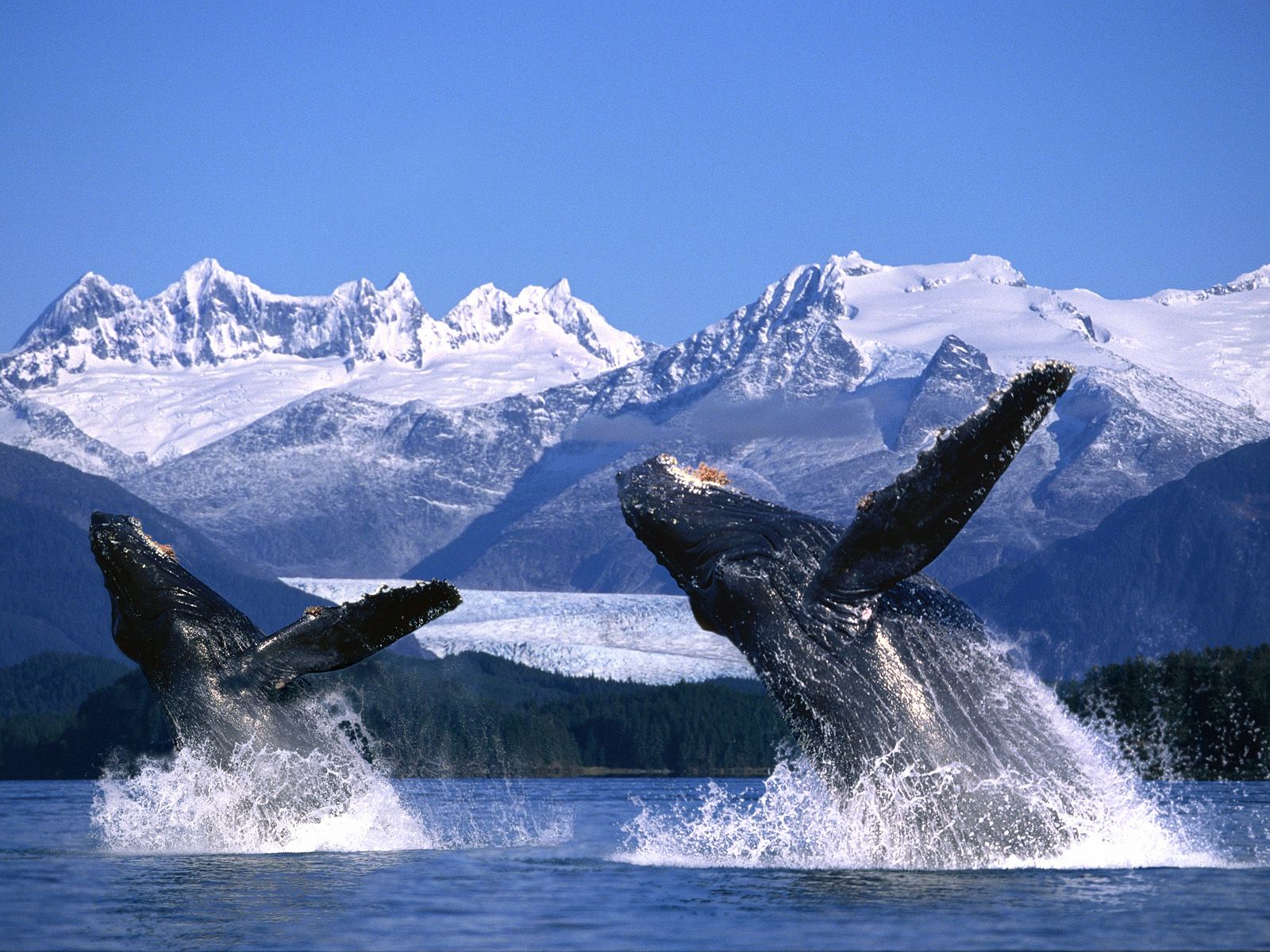ALASKA & SEATTLE