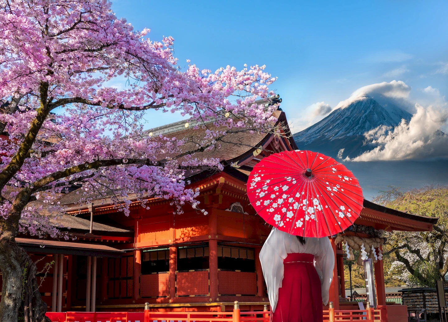 JAPONYA & GÜNEY KORE